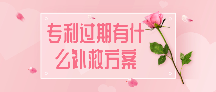 專利申請(qǐng) 專利申請(qǐng)